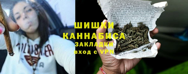 тгк Вяземский