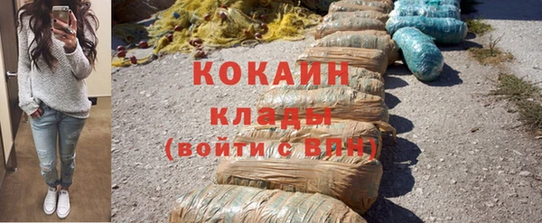 прущие грибы Вязники