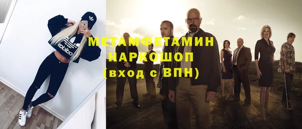 прущие грибы Вязники