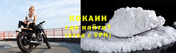 прущие грибы Вязники
