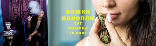 тгк Вяземский