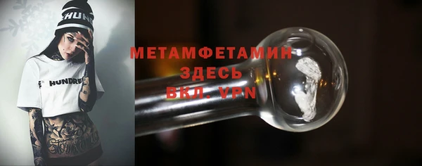 прущие грибы Вязники