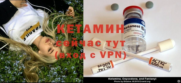 прущие грибы Вязники