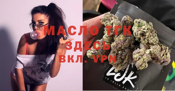 прущие грибы Вязники