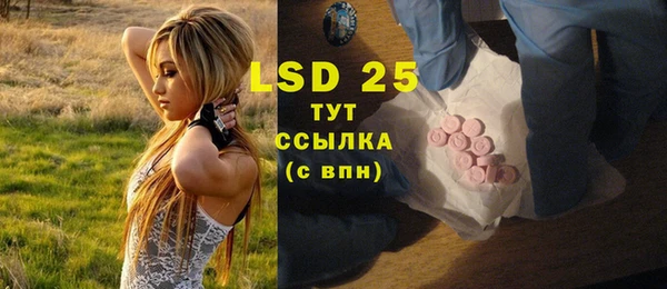 прущие грибы Вязники