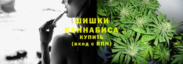 тгк Вяземский