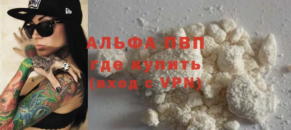 прущие грибы Вязники