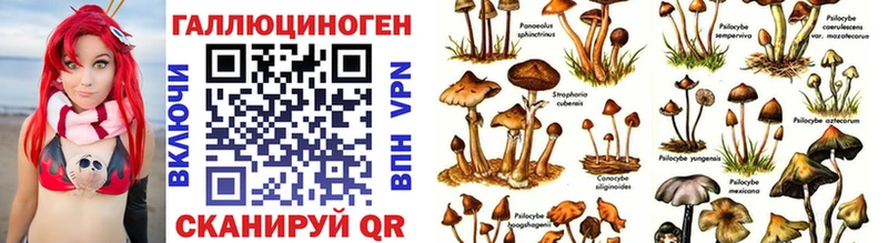 Псилоцибиновые грибы мухоморы  Черноголовка 